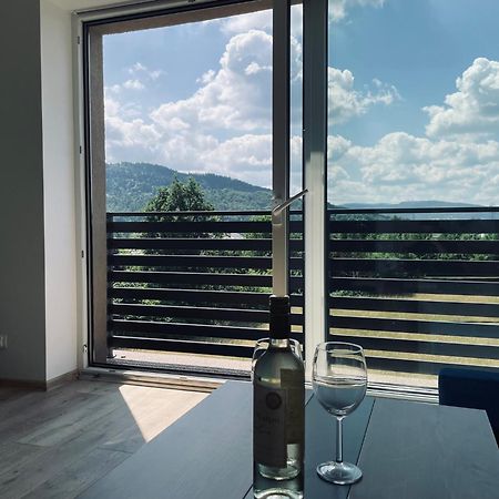 Beskid Rest Apartments Żywiec Εξωτερικό φωτογραφία