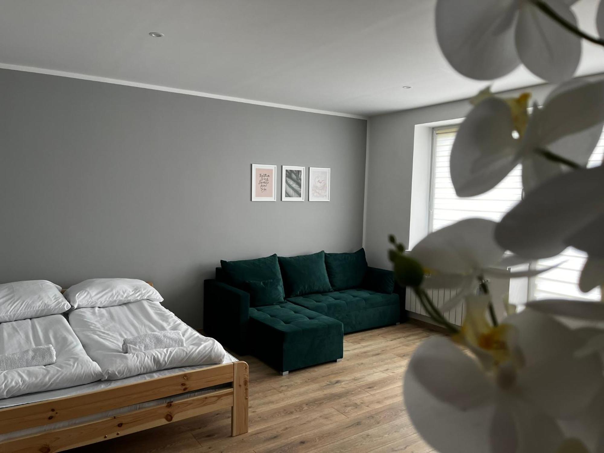 Beskid Rest Apartments Żywiec Εξωτερικό φωτογραφία
